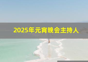 2025年元宵晚会主持人