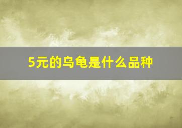 5元的乌龟是什么品种