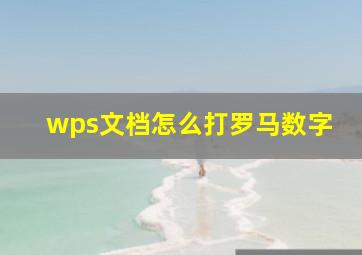 wps文档怎么打罗马数字