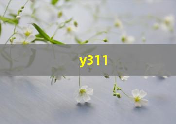 y311