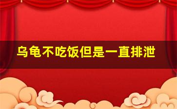 乌龟不吃饭但是一直排泄