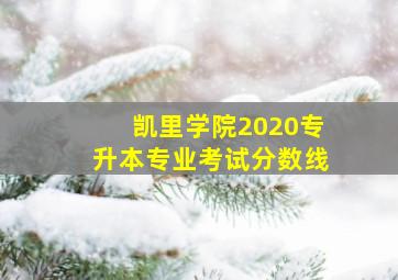 凯里学院2020专升本专业考试分数线