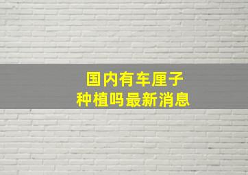 国内有车厘子种植吗最新消息