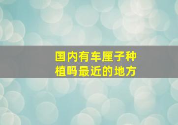 国内有车厘子种植吗最近的地方