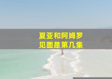 夏亚和阿姆罗见面是第几集