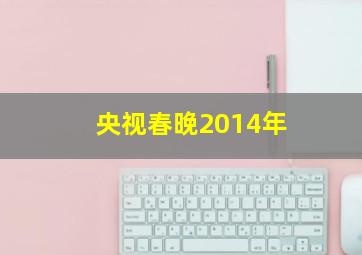 央视春晚2014年