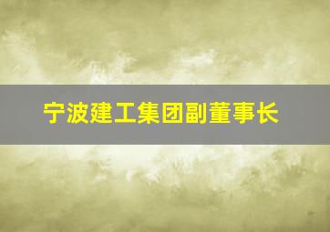 宁波建工集团副董事长