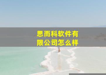 思而科软件有限公司怎么样