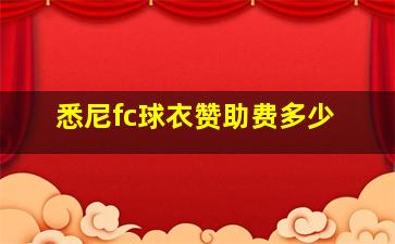 悉尼fc球衣赞助费多少