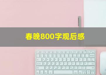 春晚800字观后感