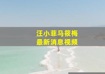 汪小菲马筱梅最新消息视频