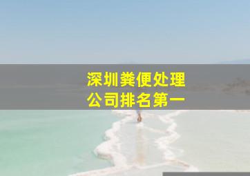 深圳粪便处理公司排名第一