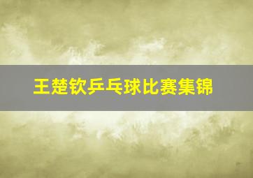 王楚钦乒乓球比赛集锦