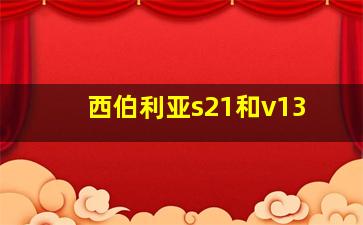 西伯利亚s21和v13