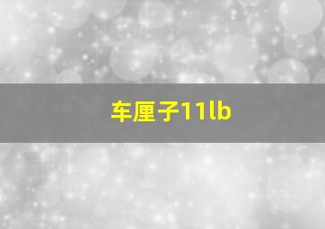 车厘子11lb